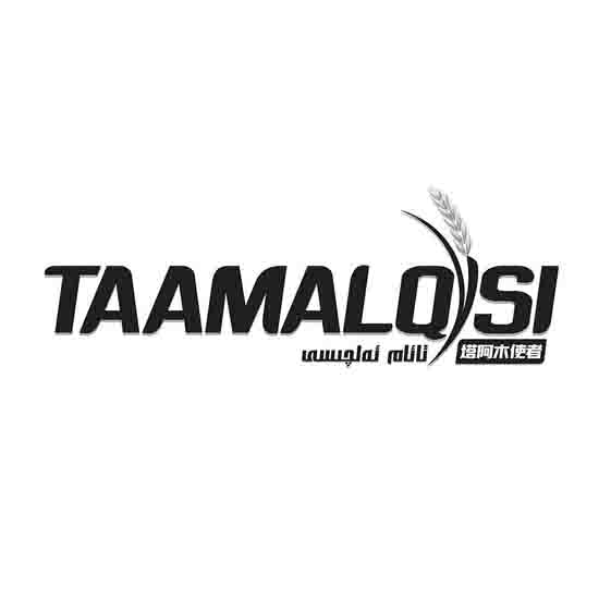 تائام ئەلچىسى